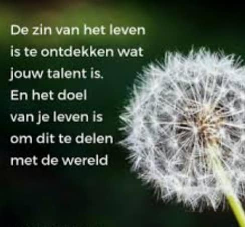 De zin van het leven